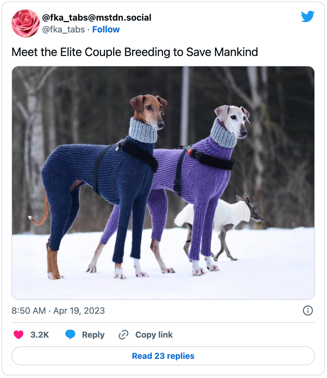 I really try not to put my own tweets in here but I couldn’t help it with this one. It says “Meet the Elite Couple Breeding to Save Mankind” over that viral picture of the two greyhounds wearing long sleeve turtleneck sweaters. I feel a little bad about implying these blameless dogs are Reddit eugenicists, so let me say right here that is not true. 