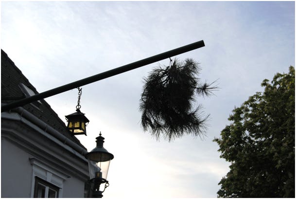 A pole displaying a vintner's buch in Vienna.