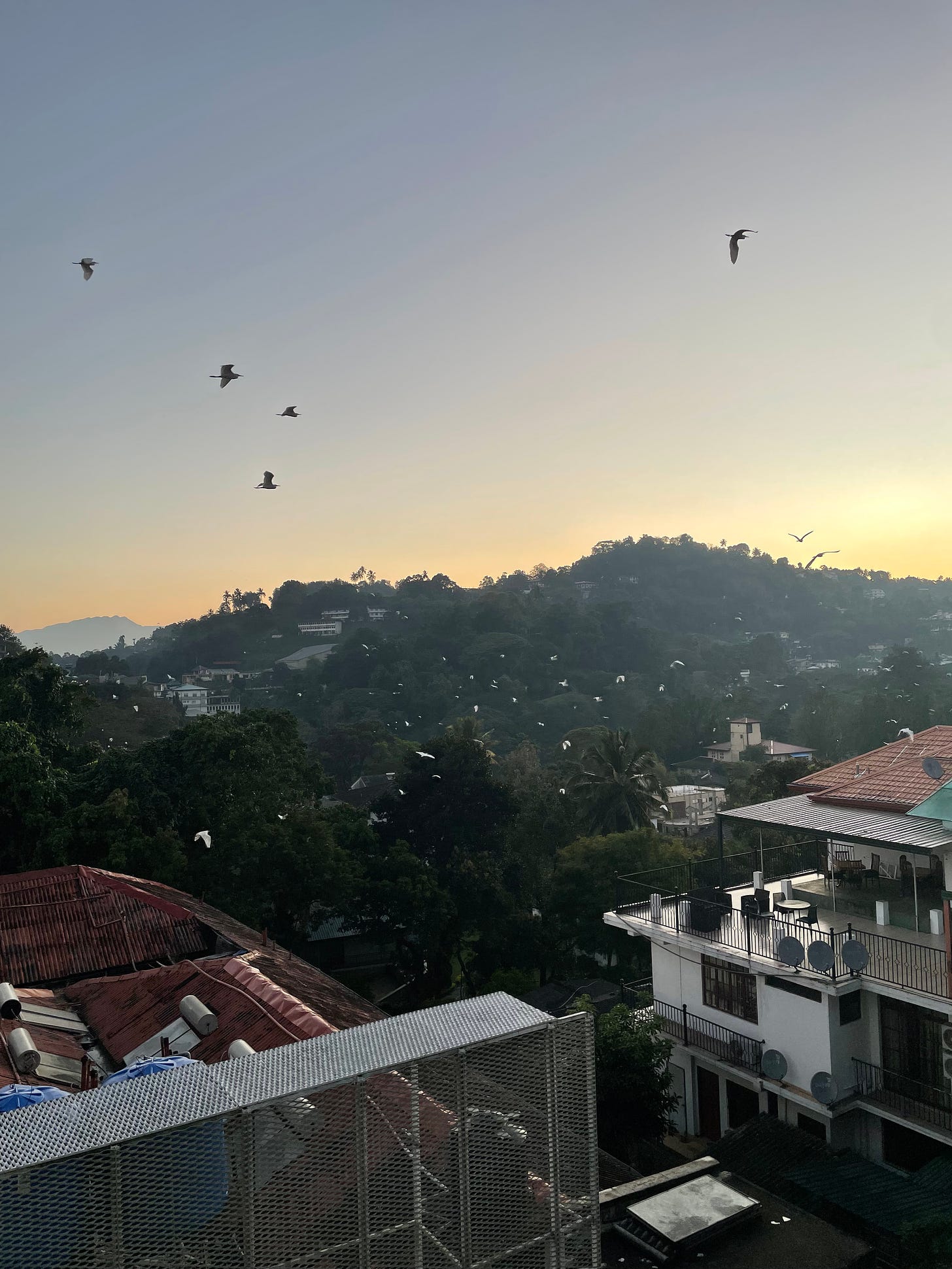 Birds move west over the trees and houses as the sun rises over the hills in the distance.