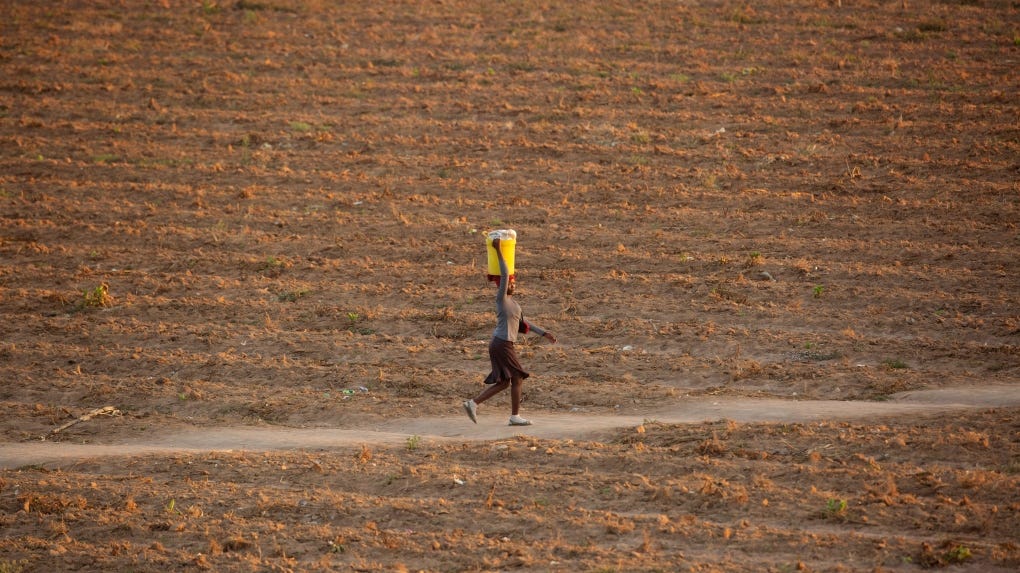 A woman walks along a path in a deserted field in Zvimba, rural Zimbabwe, on June, 26, 2021. (AP Photo/Tsvangirayi Mukwazhi, File) 