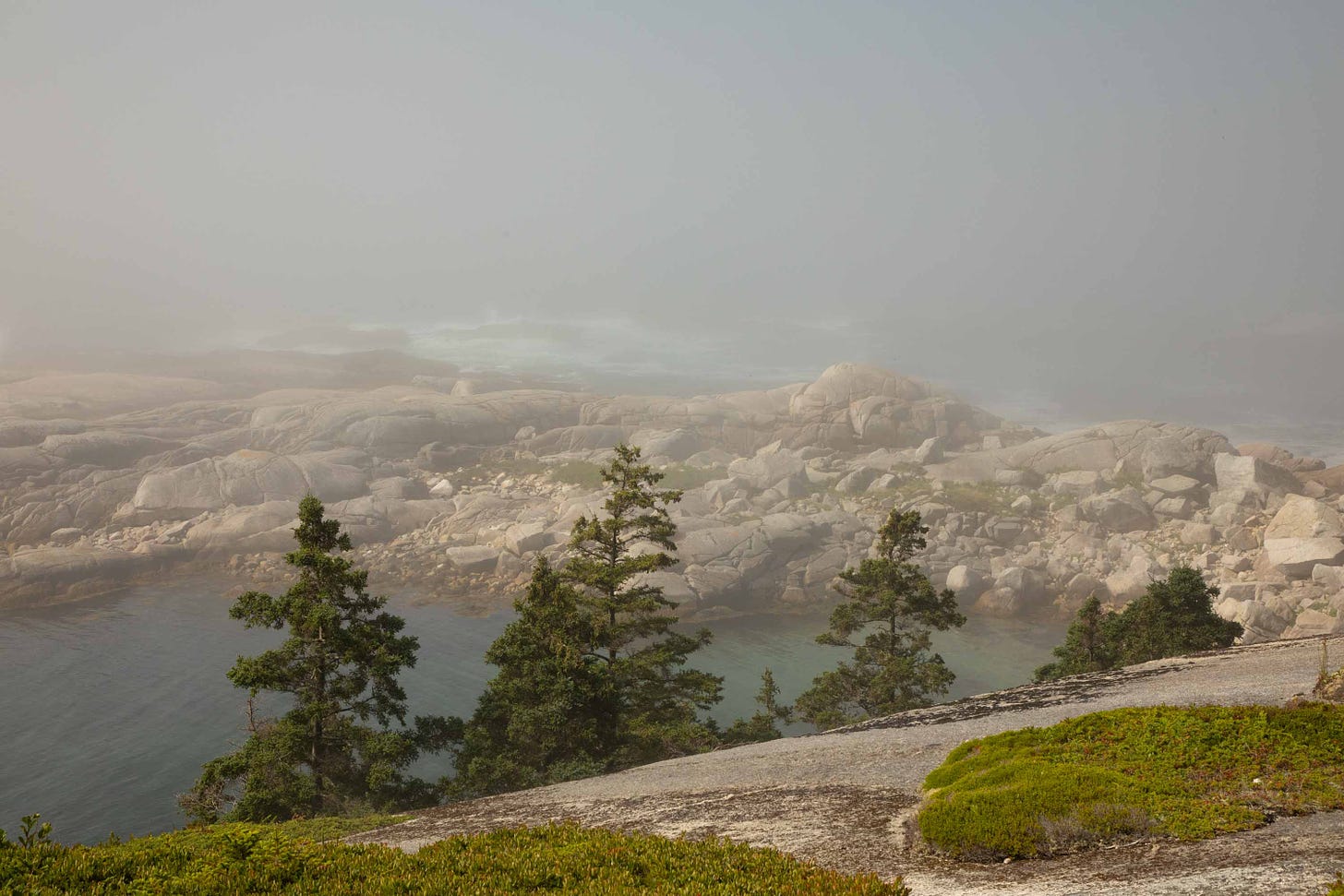 Polly’s Cove. Trees rise above granite rocks where the foggy Atlantic meets the South Shore of Nova Scotia. August 11, 2024. Photo credit: Nancy Forde | nancyforde.com