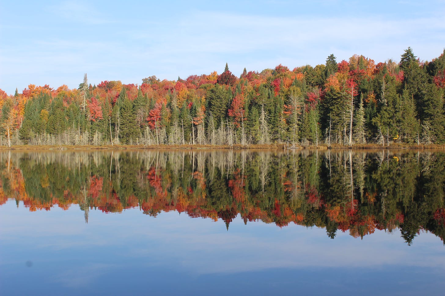 Dozens of trees are reflected in the still water of a small pond, with the leaves showing all sorts of shades of red and orange during fall foliage