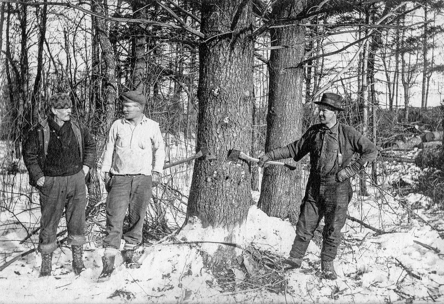 Three loggers