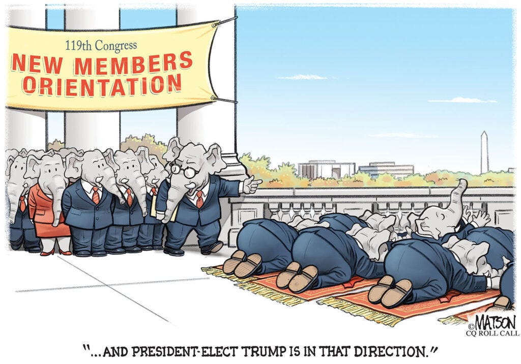 Capitol Ink: Putting the cap on 2024 - Roll Call