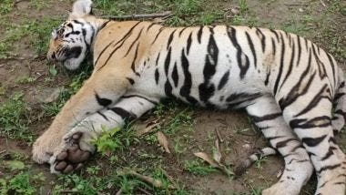 Royal Bengal Tiger Dies at Nehru Zoological Park in Hyderabad