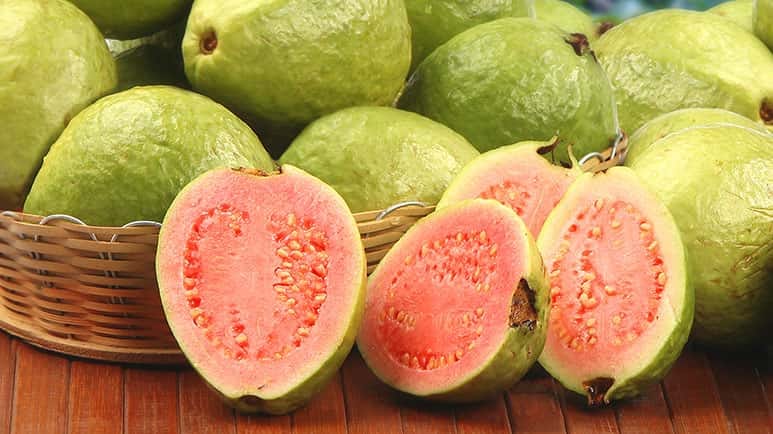 guava benefits