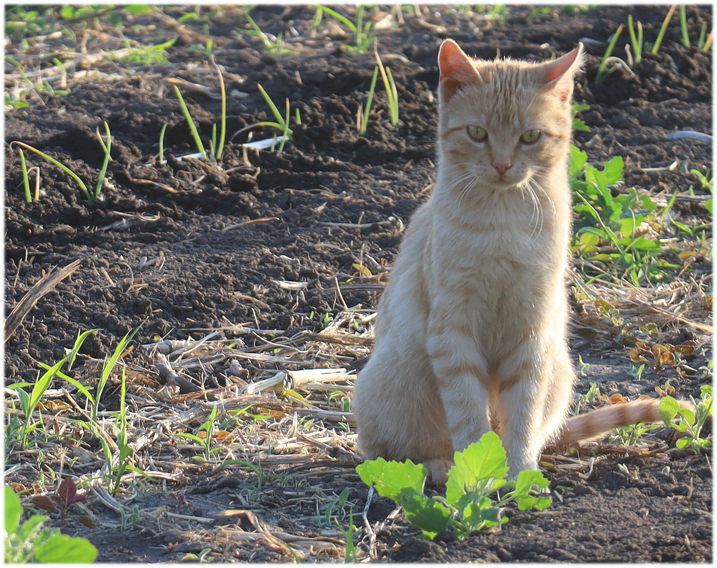 Murphy, one of our Farm Supervisors