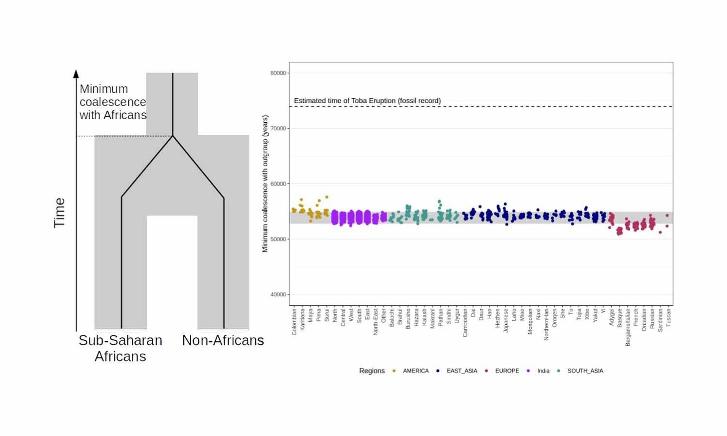 Chart showing many dots from more than 30 world populations, eight from different parts of India, all within a range between 52,000 and 58,000 years ago, most in a narrow range from 53,000 to 55,000. Chart showing many dots from more than 30 world populations, eight from different parts of India, all within a range between 52,000 and 58,000 years ago, most in a narrow range from 53,000 to 55,000.