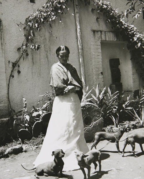 Museo Casa Estudio Diego Rivera y Frida Kahlo в X: „En 1948 Frida Kahlo  posó para Gìsele Freund junto con sus perros xoloitzcuintles. ¿Tienes una  fotografía con tus mascotas? ¡Compártela con nosotros!