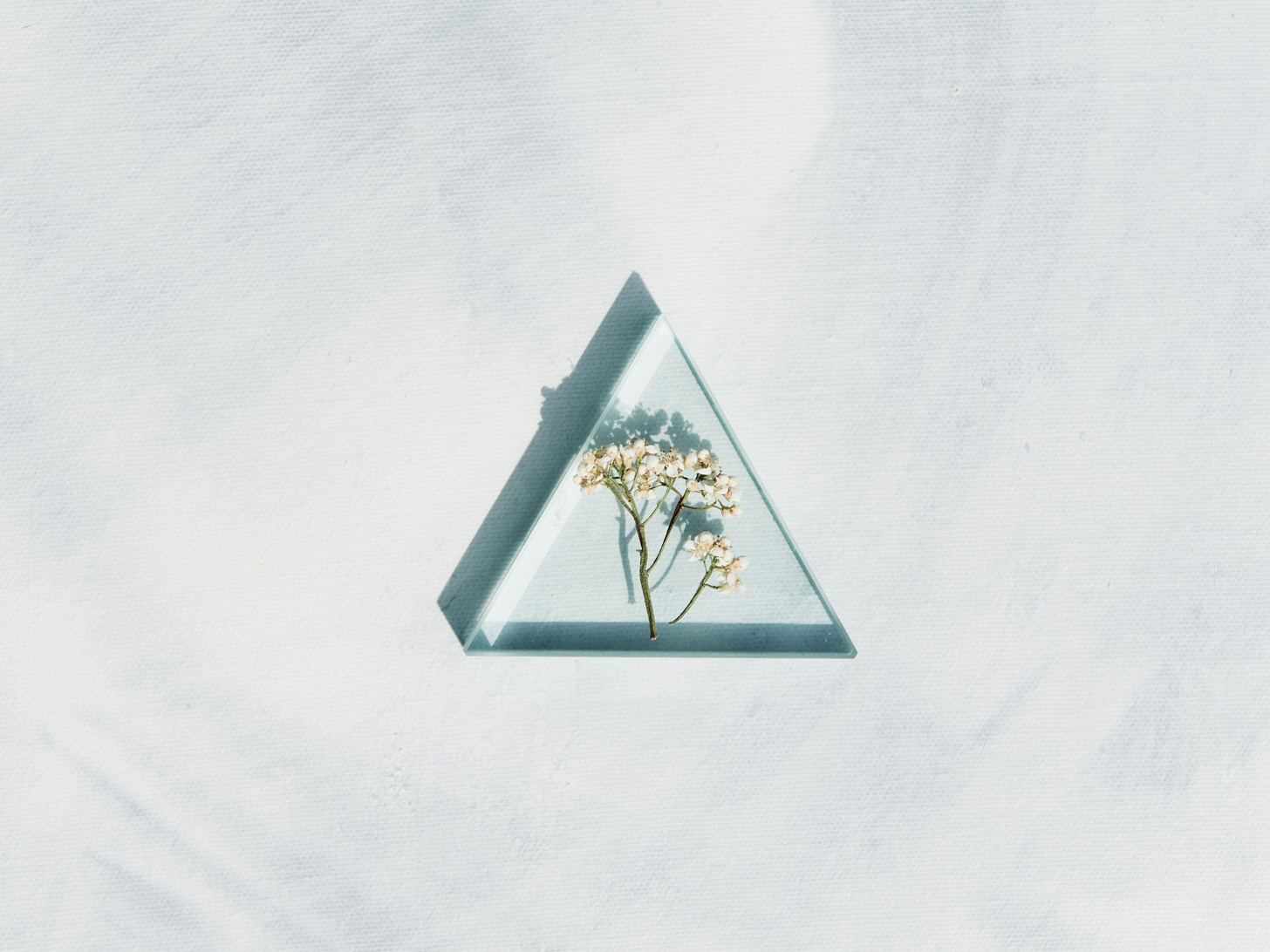 white and blue floral card on white textile