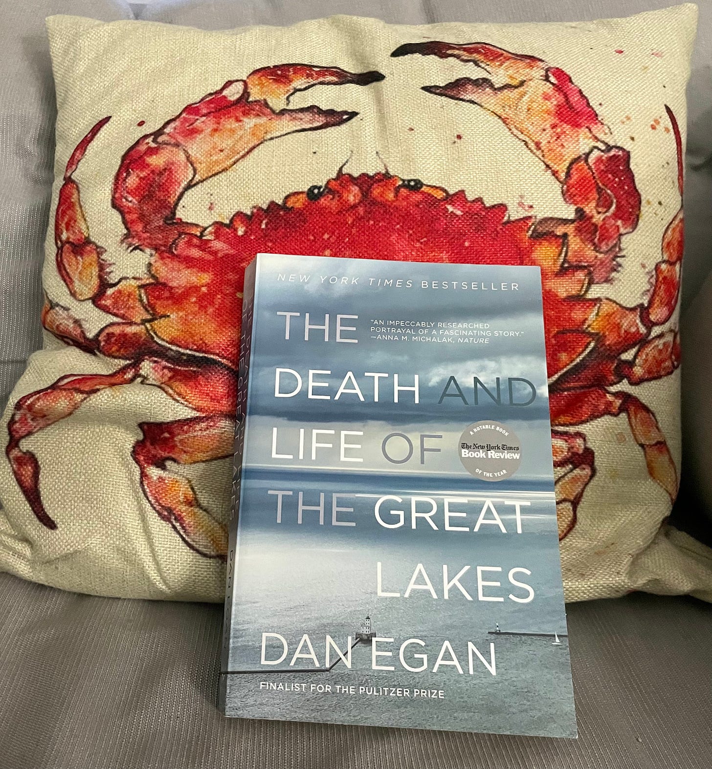 The Death and Life of The Great Lakes by Dan Egan