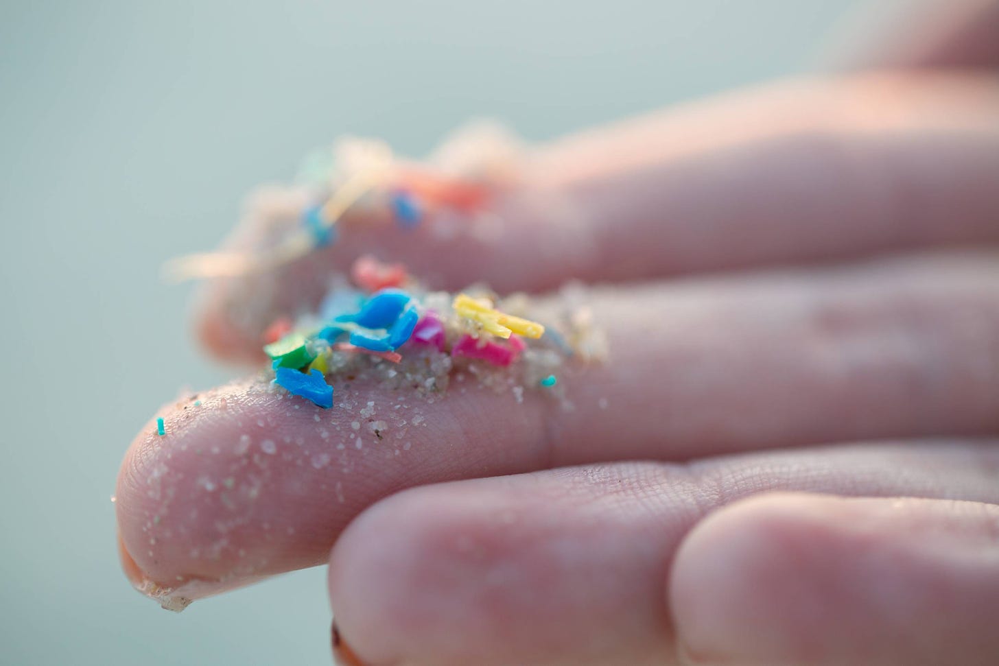 Microplastics Are Everywhere, Including in Our Bodies. Here's What We Know  — and Don't Know — About the Impacts | KQED