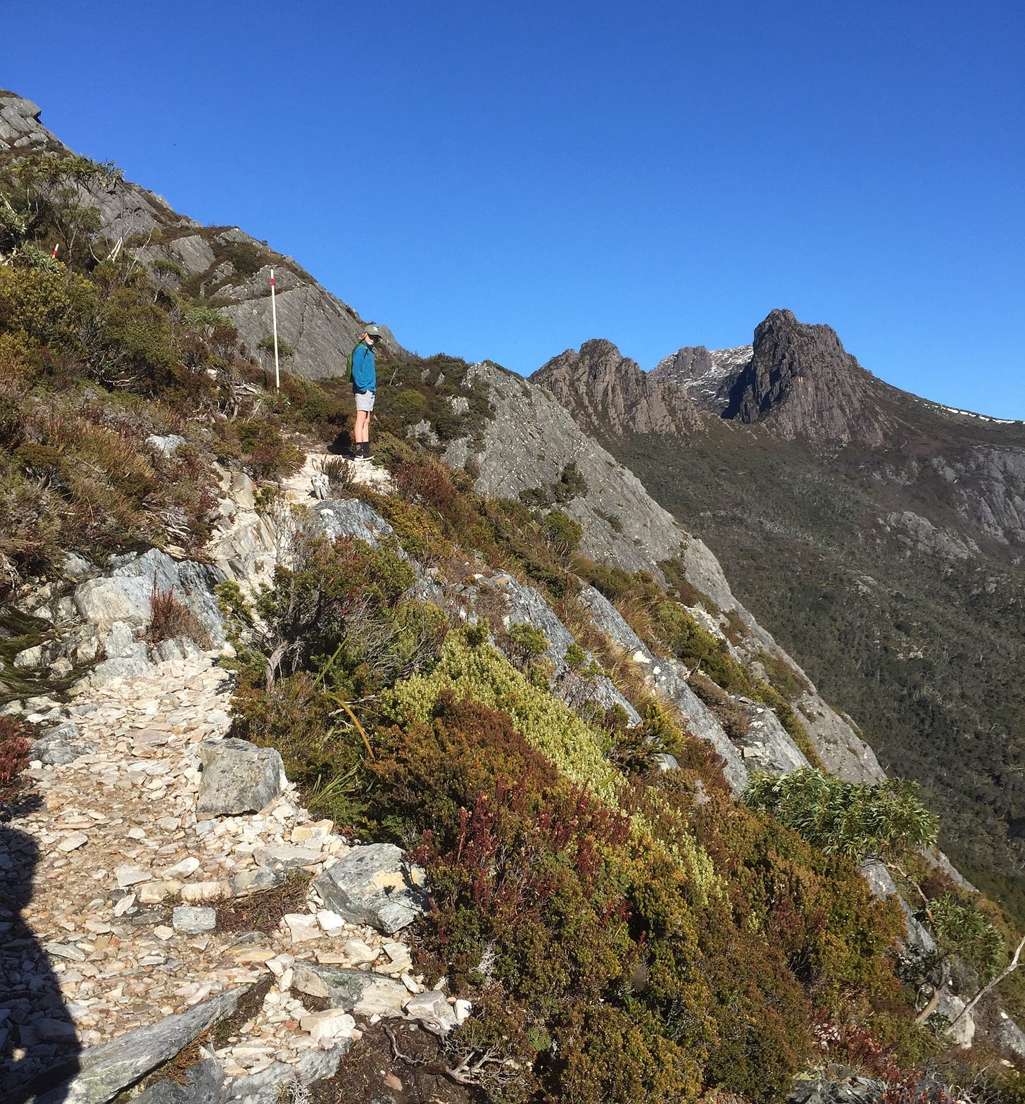 The author's son on Hanson's Peak at Cradle Mountain in Tasmania