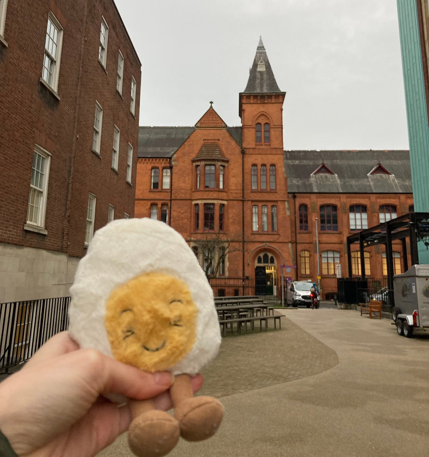 photograph of Dippy the soft toy egg in front of a red brick university building against a dull grey sky