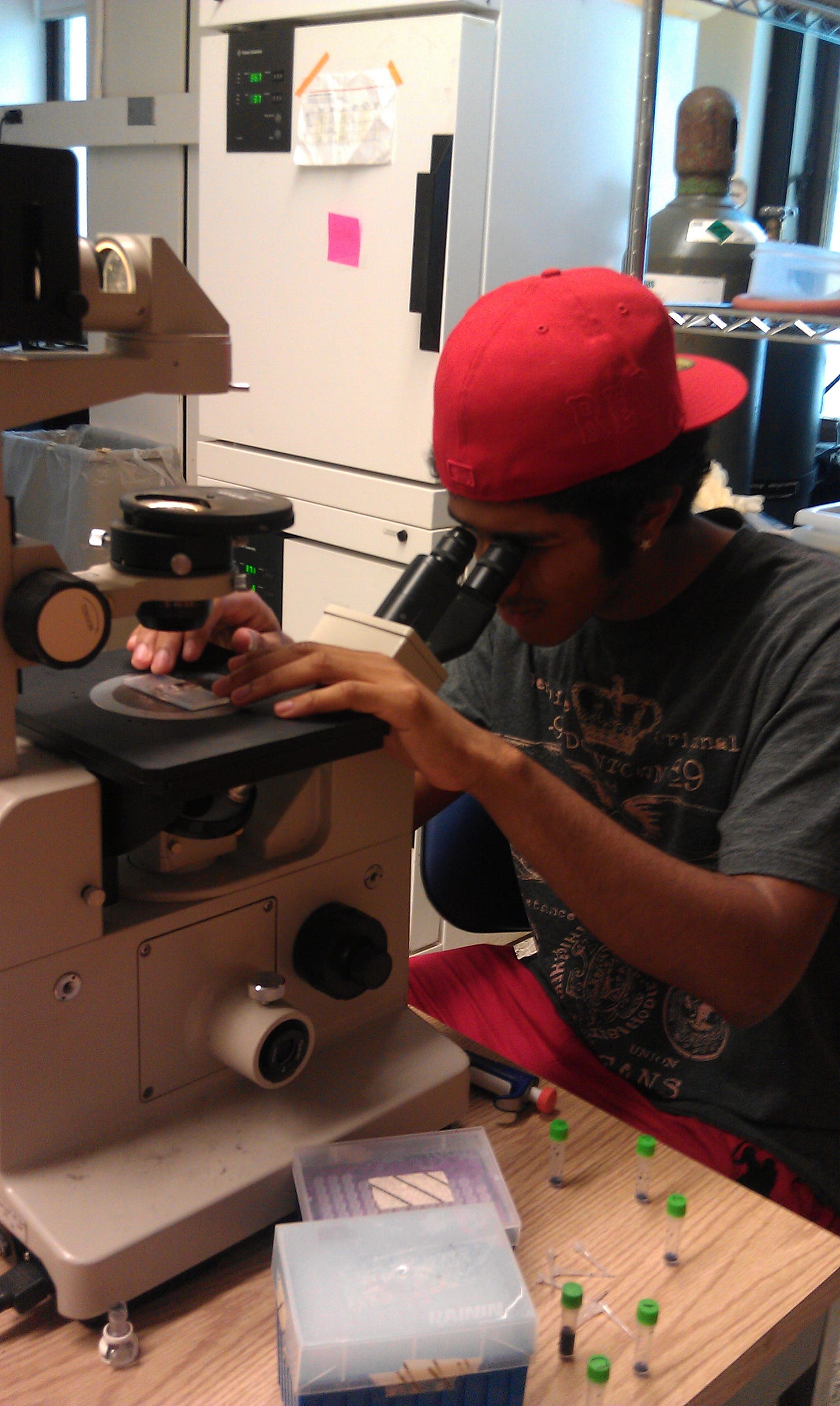 Me in 2011 looking through a microscope with a red fitted on backwards.