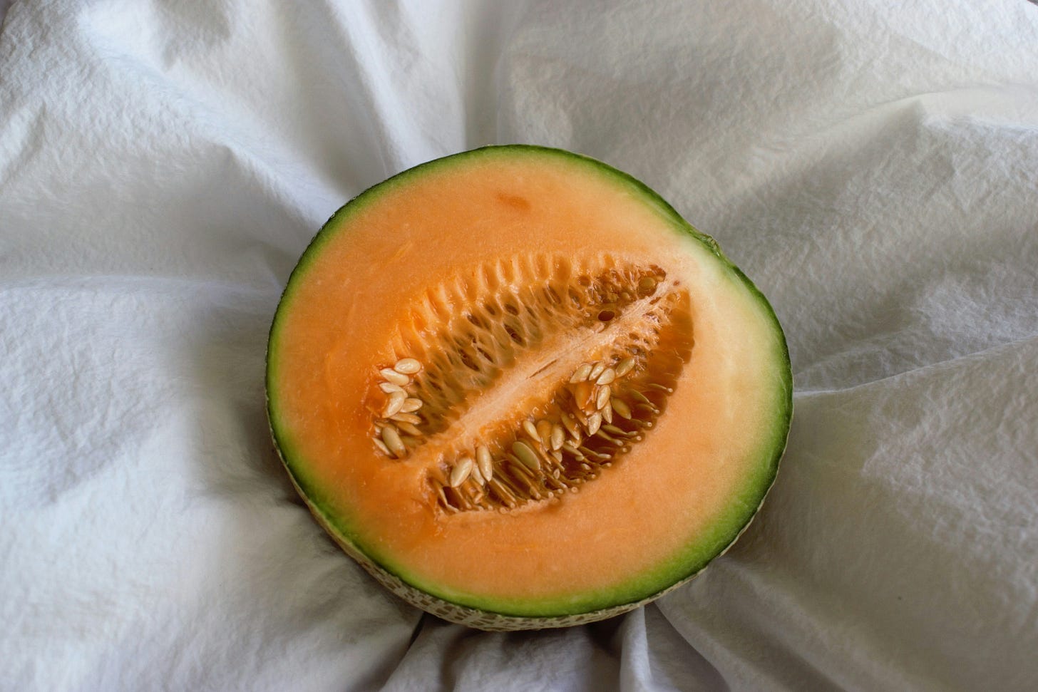 Half a cantaloupe, cut open