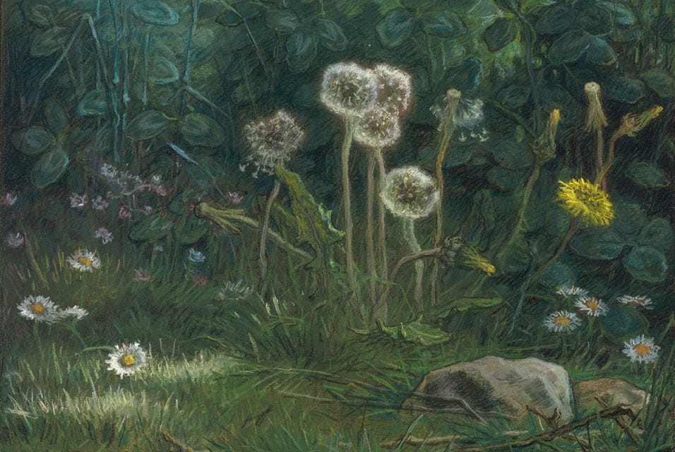 A painting of dandelions sprouting from the foreset floor