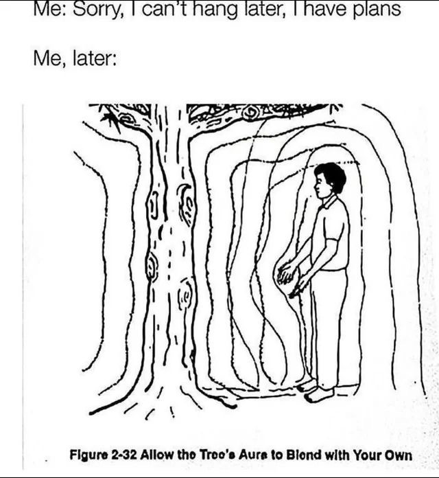 Tree Hugging for Energy Clearing 