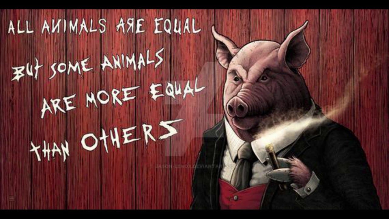 Animal Farm By George Orwell- Character Analysis - YouTube