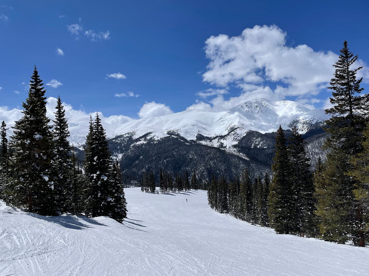 IMG_9161.jpeg IMG_9161.jpeg