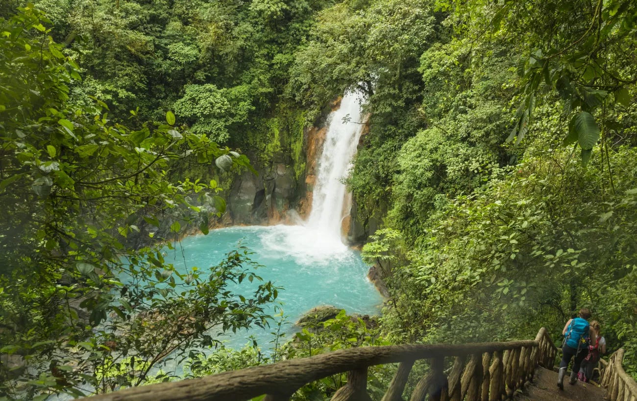 8-Day Costa Rican Caribbean Tour Beaches & Rainforest Adventures