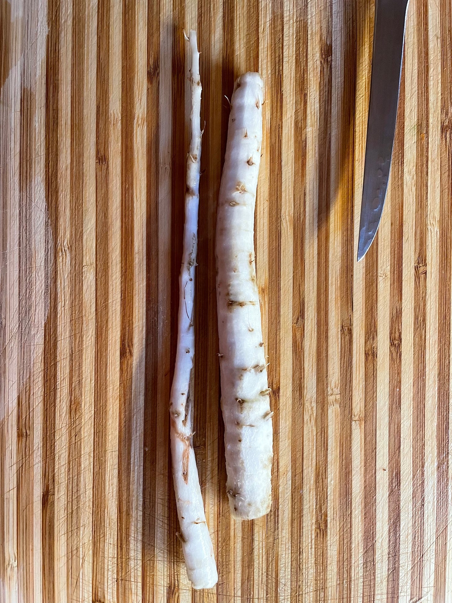 Burdock root washed, scraped and cut in half