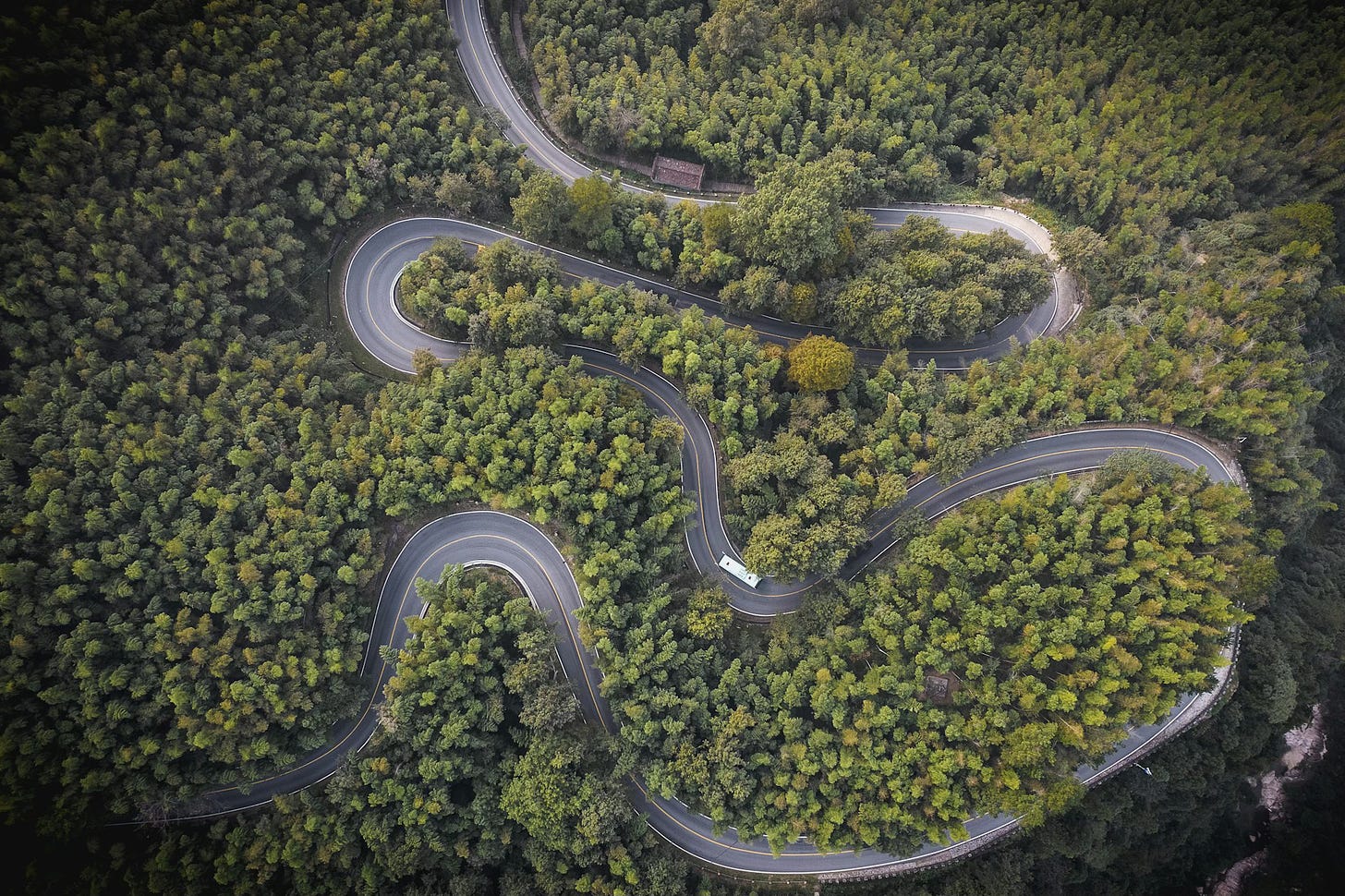 Fotografia em cores de estrada sinuosa em meio a árvores na China.