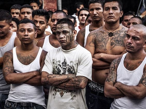 Foto de MS13