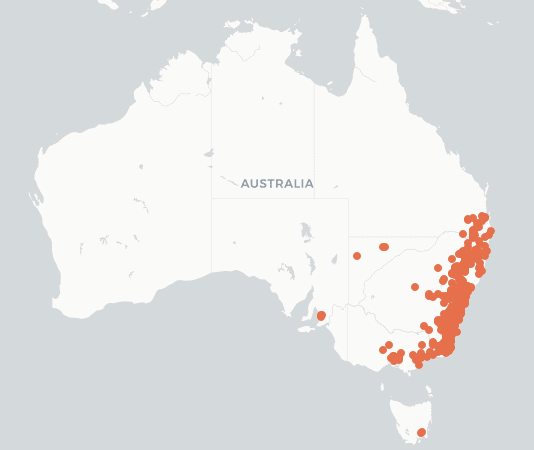 Solanum chenopodioides distribution map.png