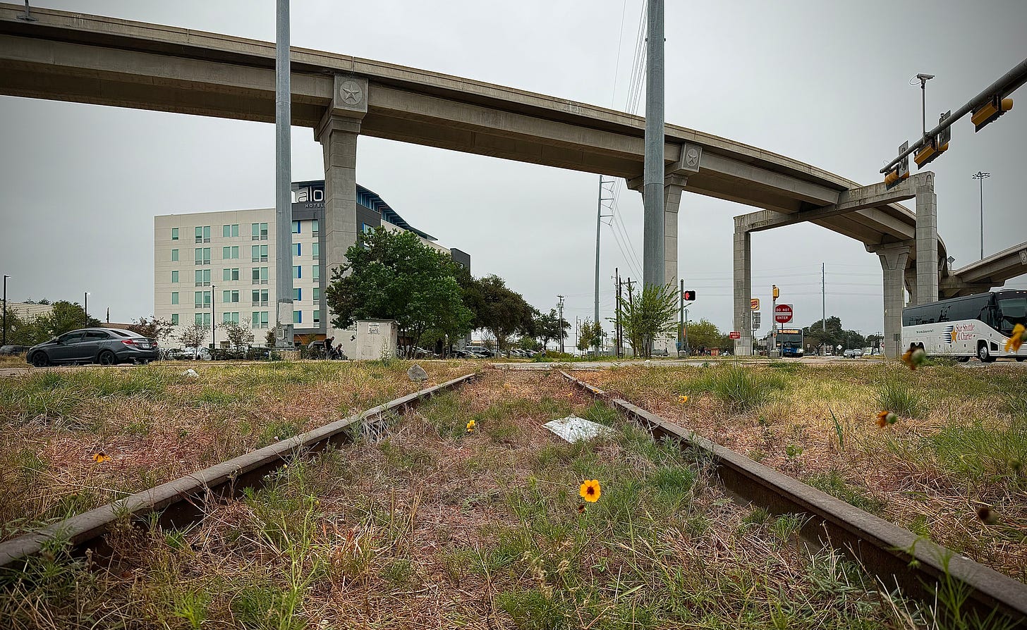 Coreopsis in bloom in railroad right of way below elevated highway cloverleaf