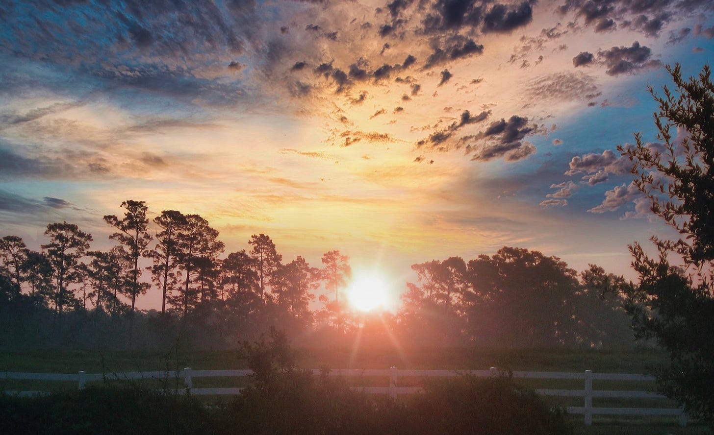 The sun rises above the horizon lighting the sky with trees and a white fence at the horizon foreground