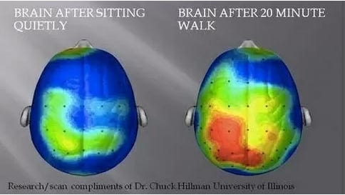 Your Brain After a 20-Minute Walk
