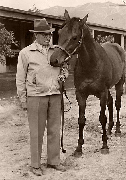 A person standing next to a horse

Description automatically generated