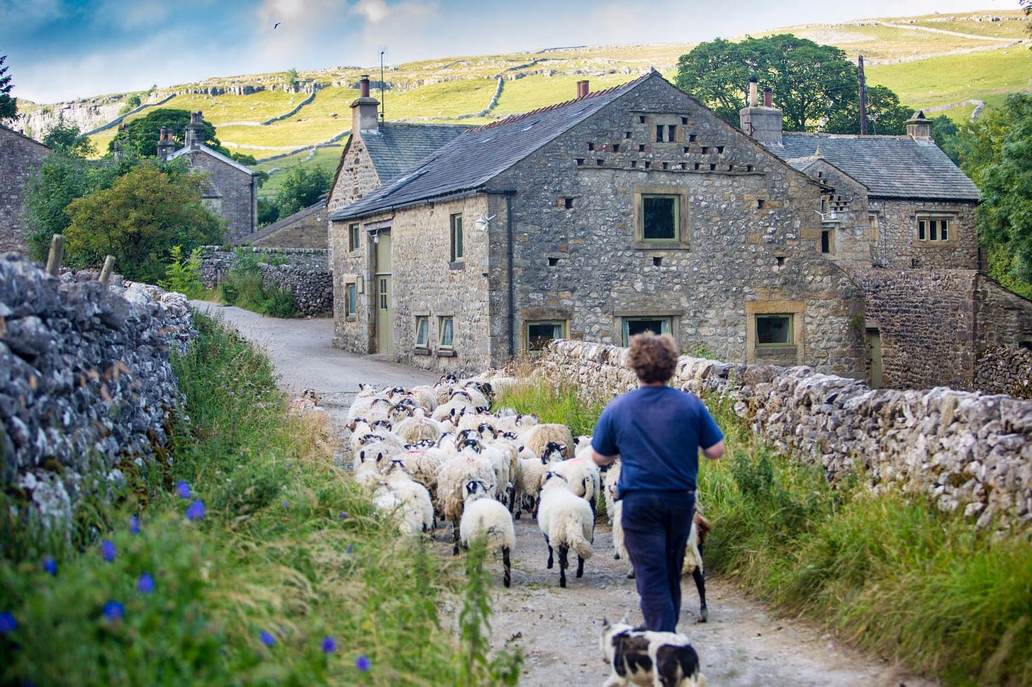 Hill Top Farm Sustainable Food and Farming Experience – Wilderculture