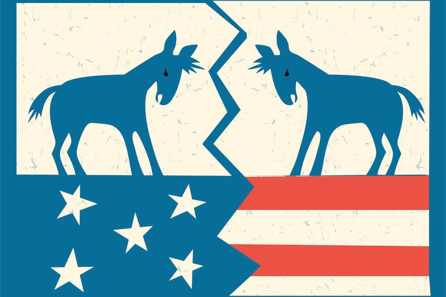 Two democratic donkeys square butt heads