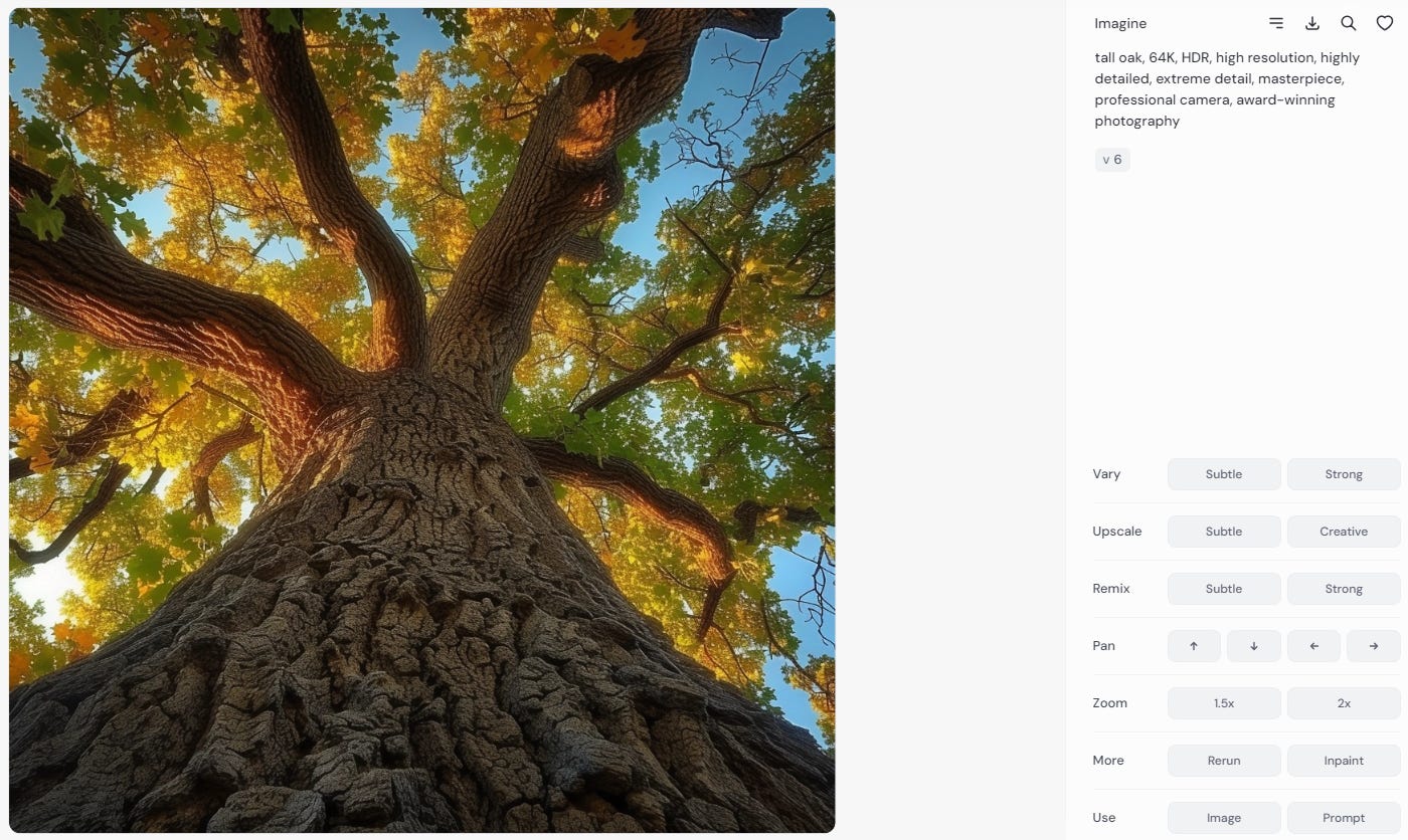 “tall oak, 64K, HDR, high resolution, highly detailed, extreme detail, masterpiece, professional camera, award-winning photography” in Midjourney V6