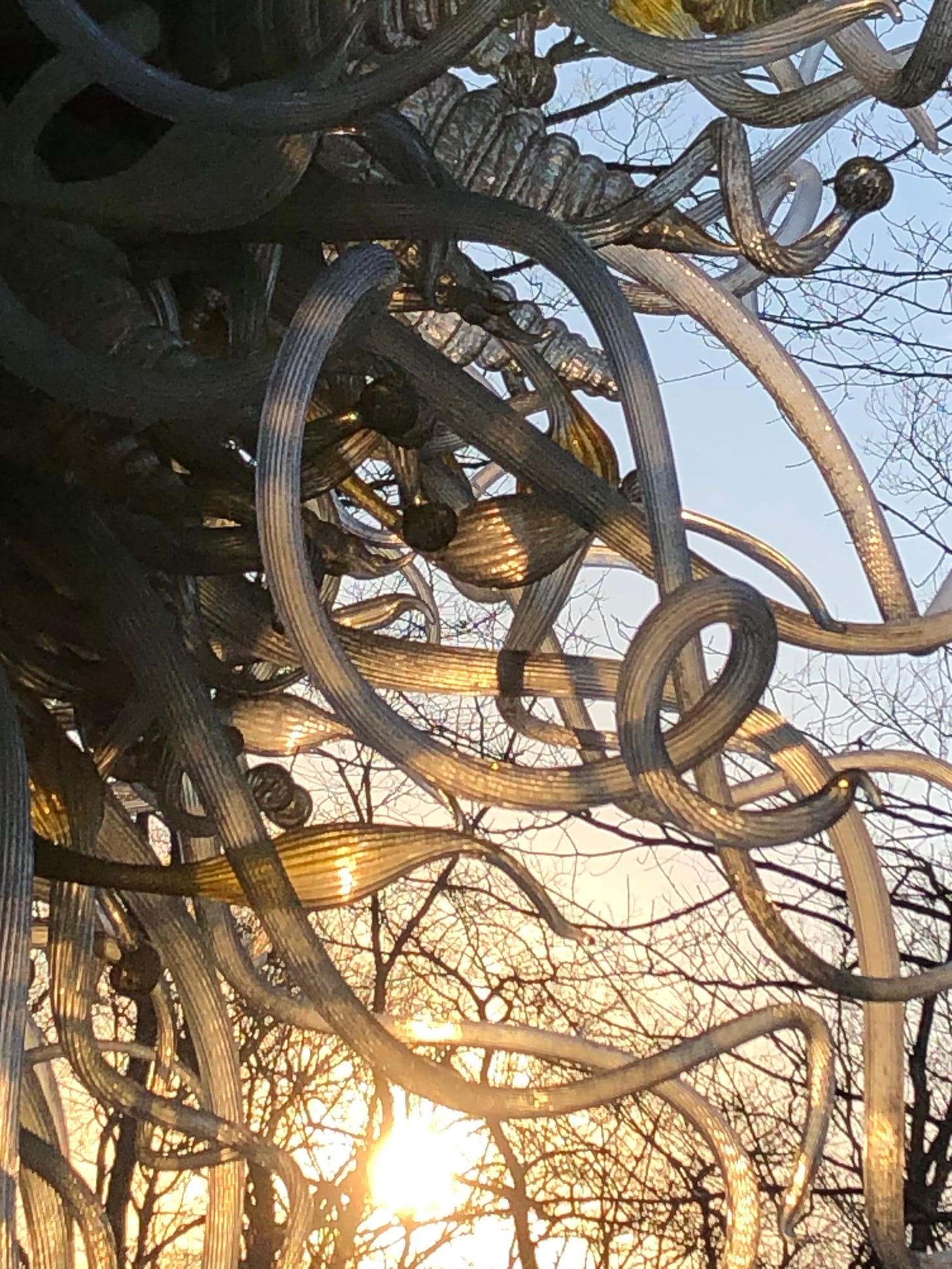 From shadow into the golden glow of sunset, a profusion of blown glass captures the afternoon's last warmth in its curlicues, twists, knobs, and tendrils.
