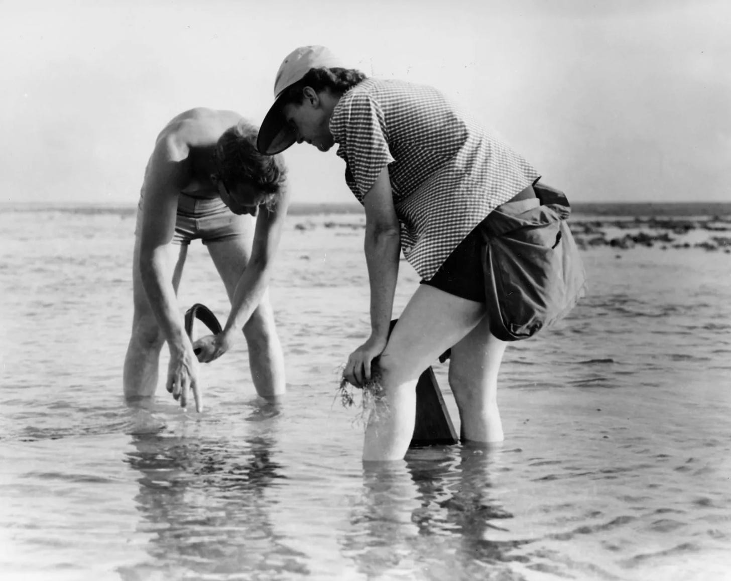 bob hines and rachel carson in water looking into the sea