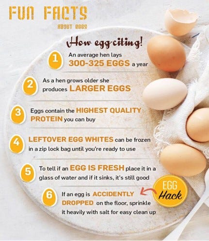 fun egg facts 