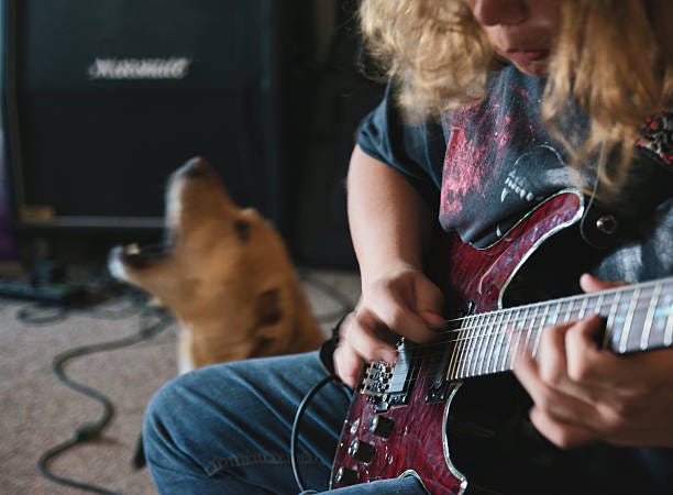 guitarist and singing dog - dog howling stock pictures, royalty-free photos & images