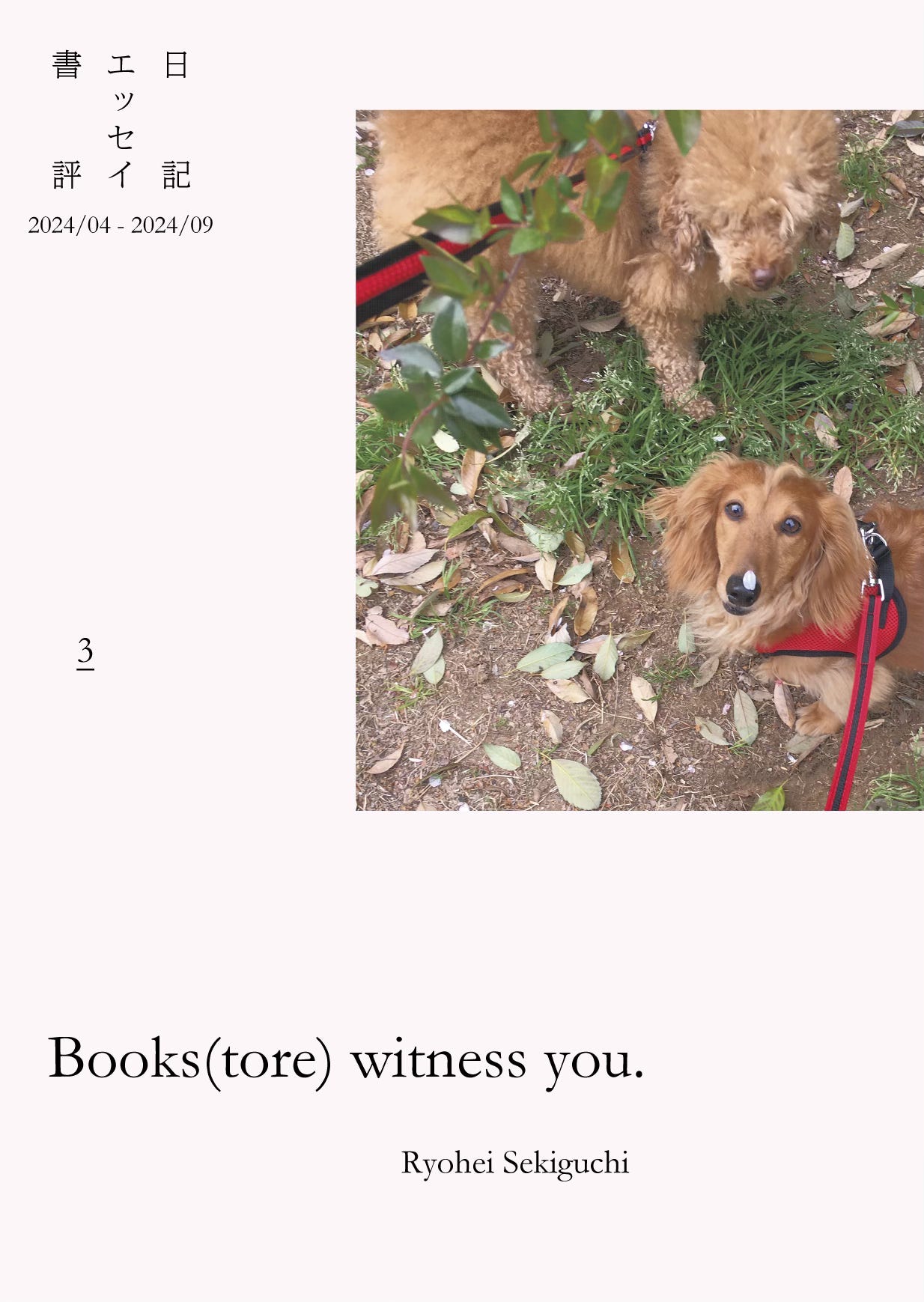 『Books(tore) witness you. vol.3』書影