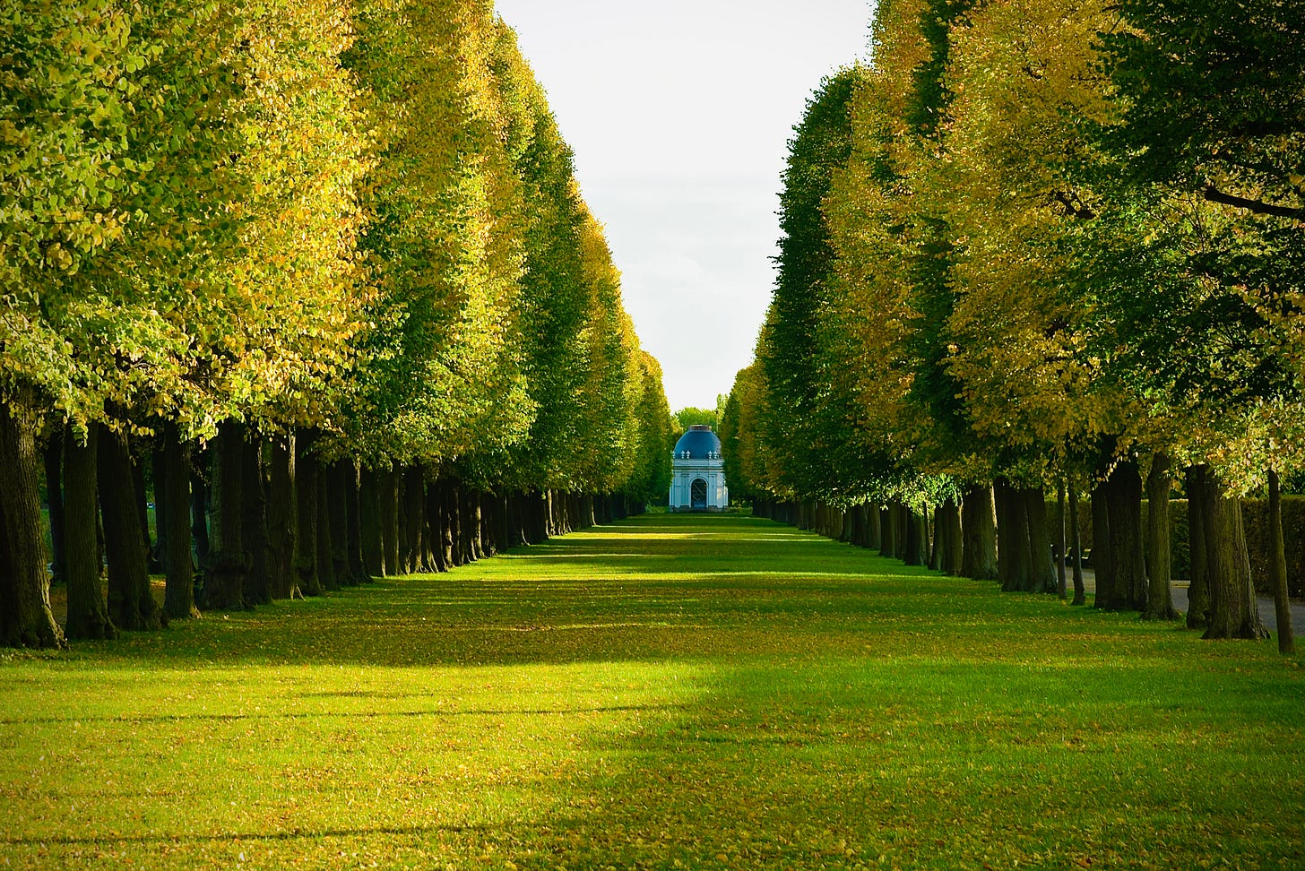 A long, tree-lined pathway with golden-green leaves leading towards a small domed structure. The trees form a natural arch, casting shadows and light on the grassy ground, symbolizing the balance between light and darkness on the path of personal reckoning and growth.