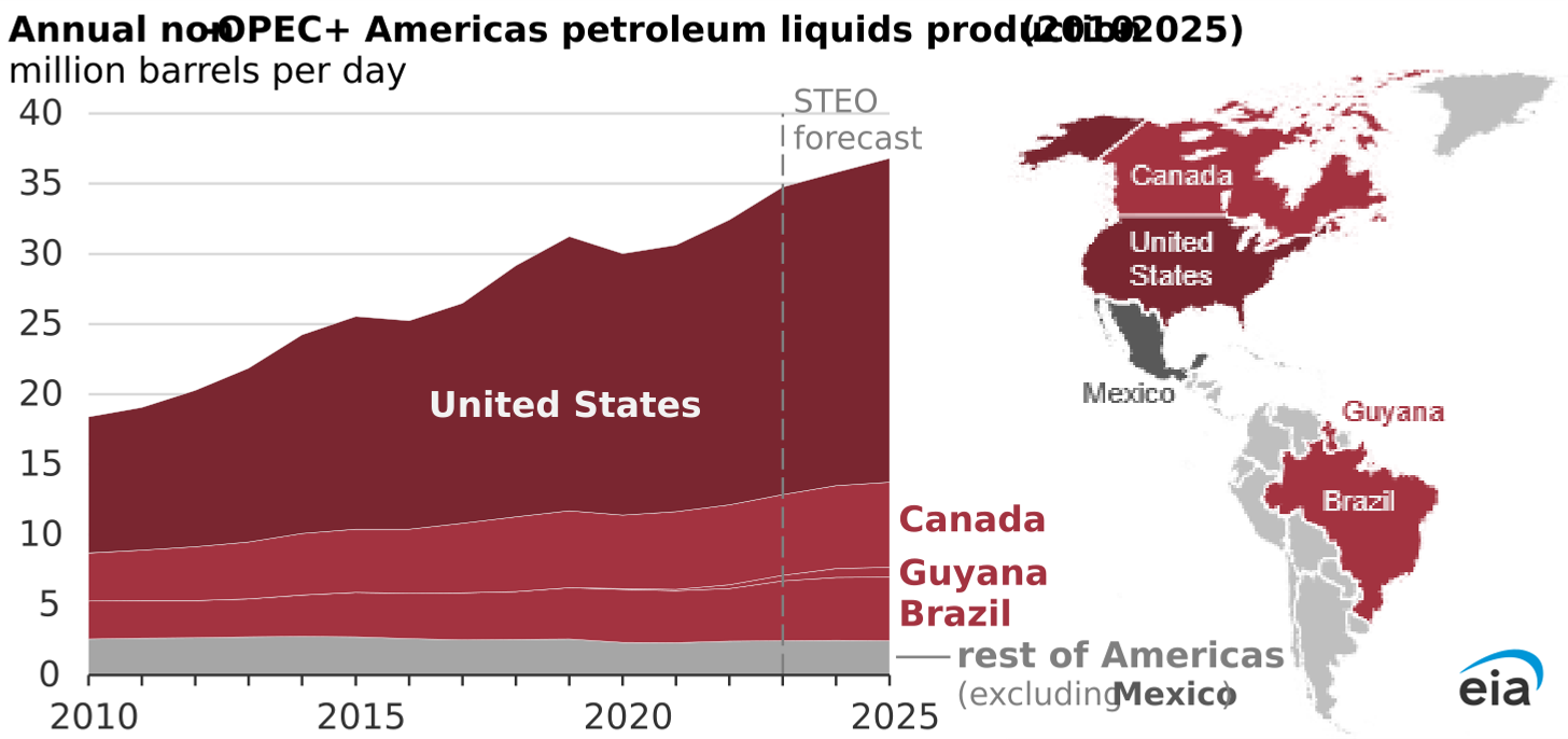 annual non-OPEC+ Americas petroleum liquids production