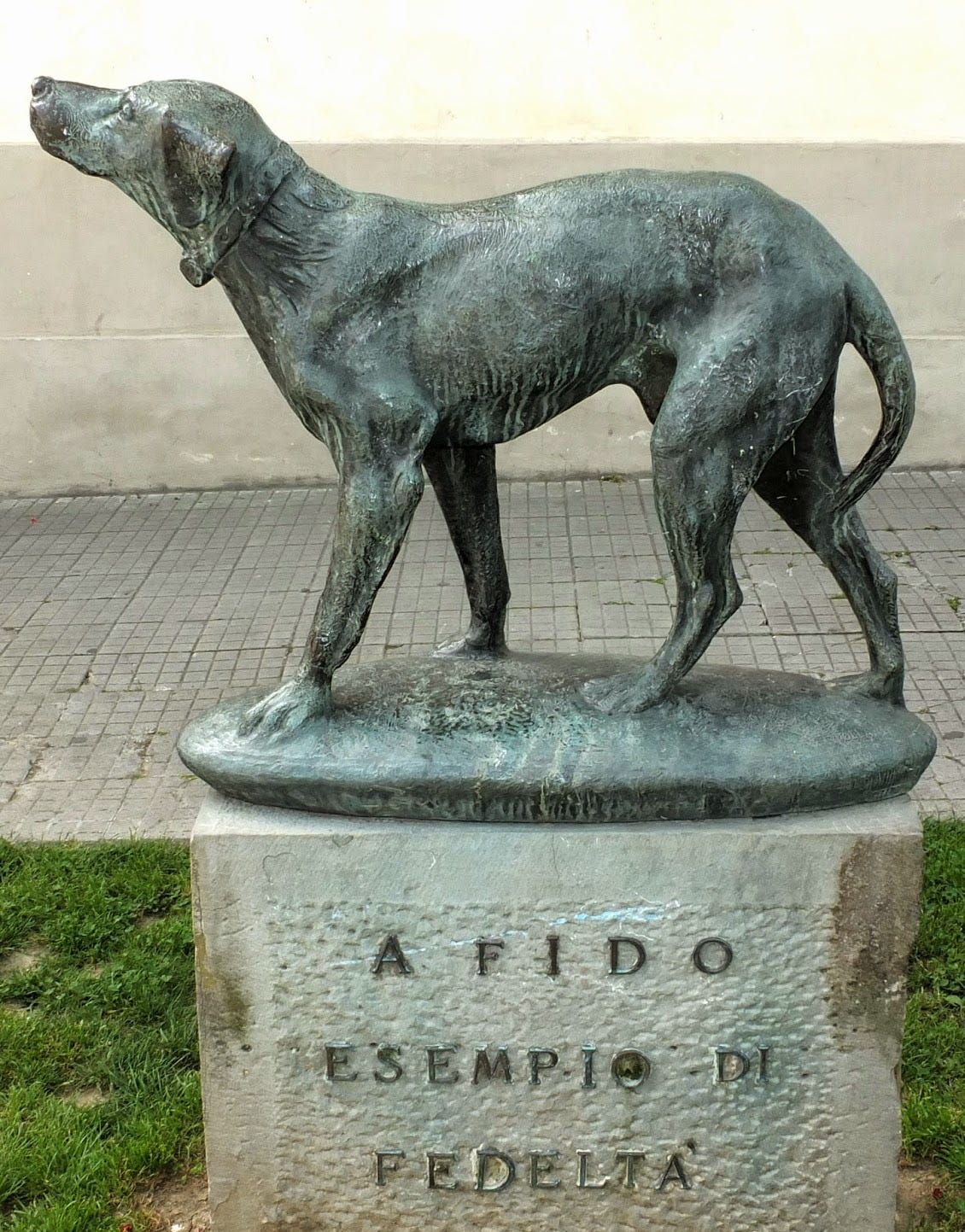 A Path To Lunch: A Dog Named Fido