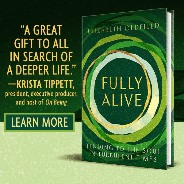 Picture of book with quote from Krista Tippett : “a great gift to all in search of a deeper life”