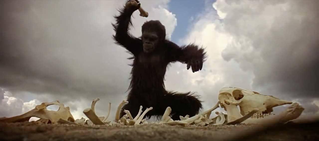 Still from 2001: A Space Odyssey in which an ape is using a bone to bask a skeleton