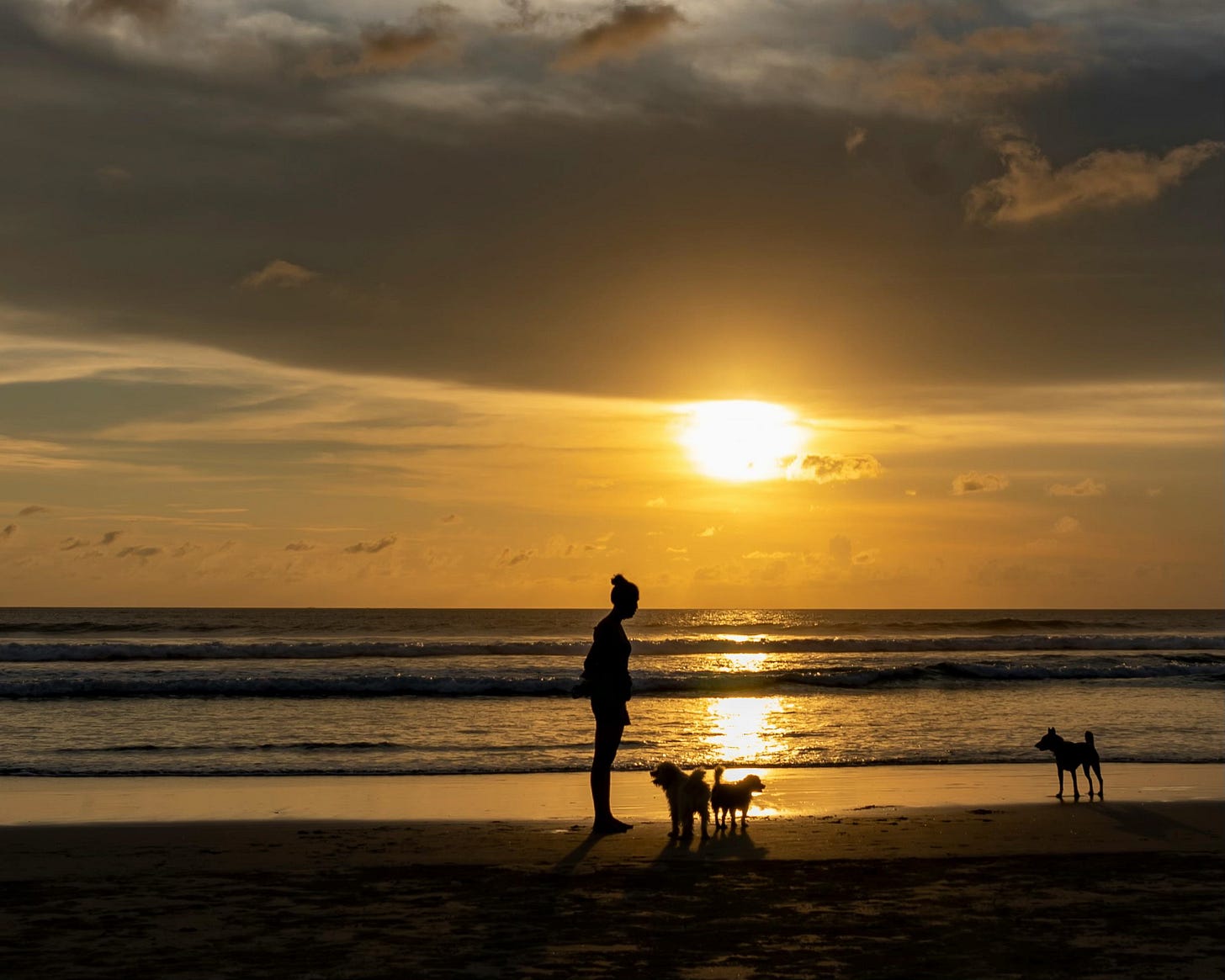 Photo of a woman and her three dogs at sunrise on the beach