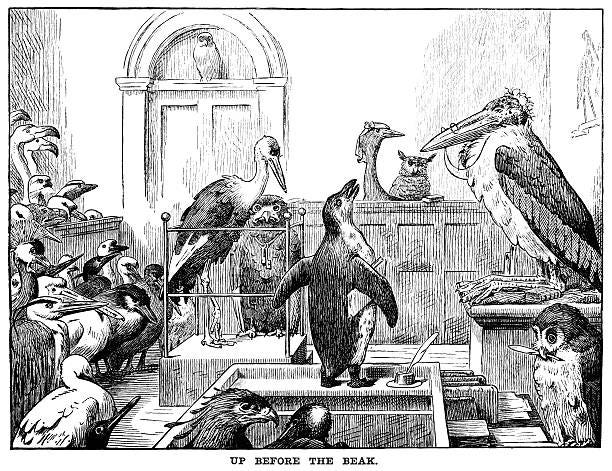 up before the beak - punch's almanack, 1882 - jury stock illustrations