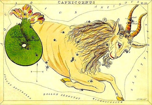 Capricorn – Constellations of Words