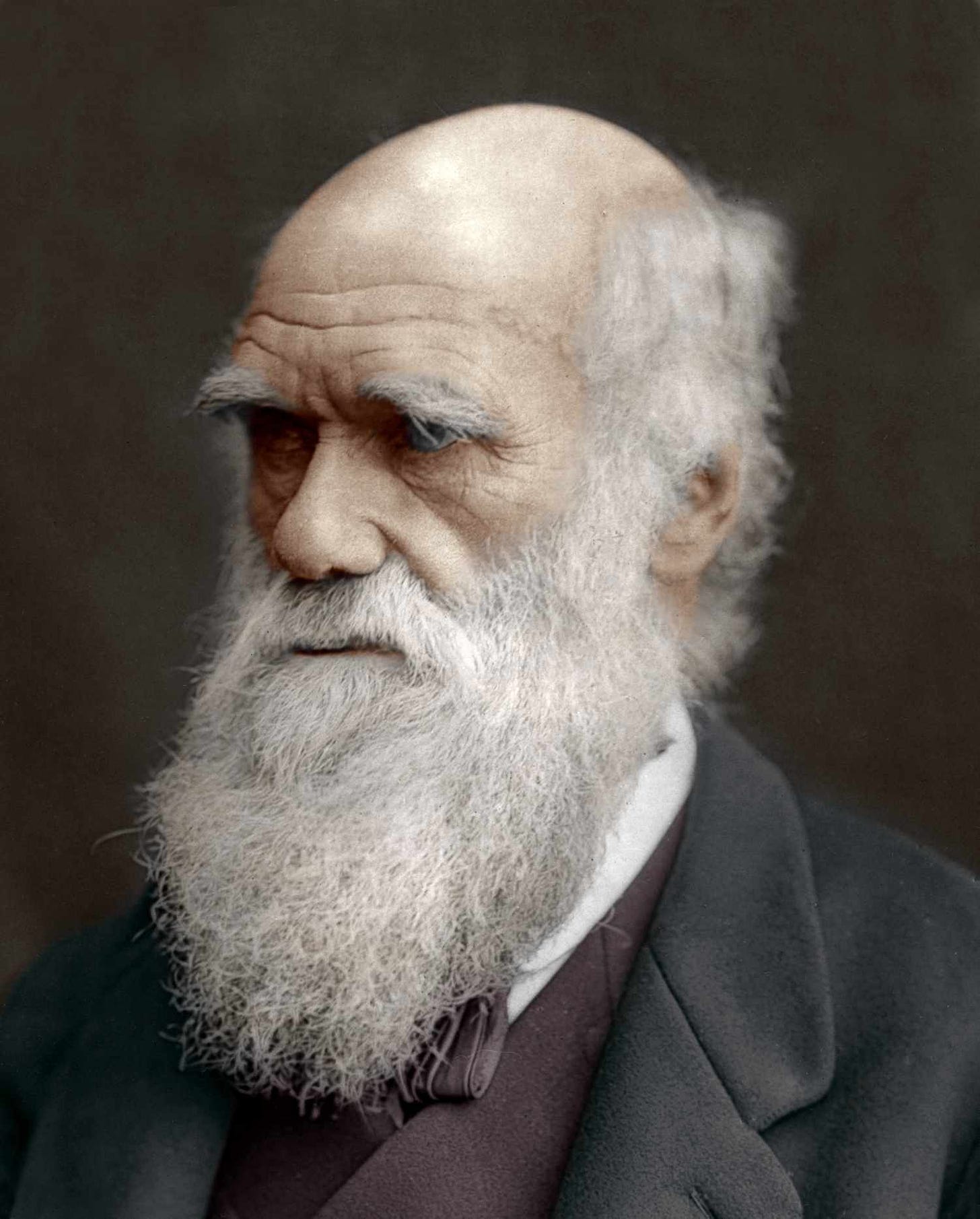 Colourised picture of Charles Darwin